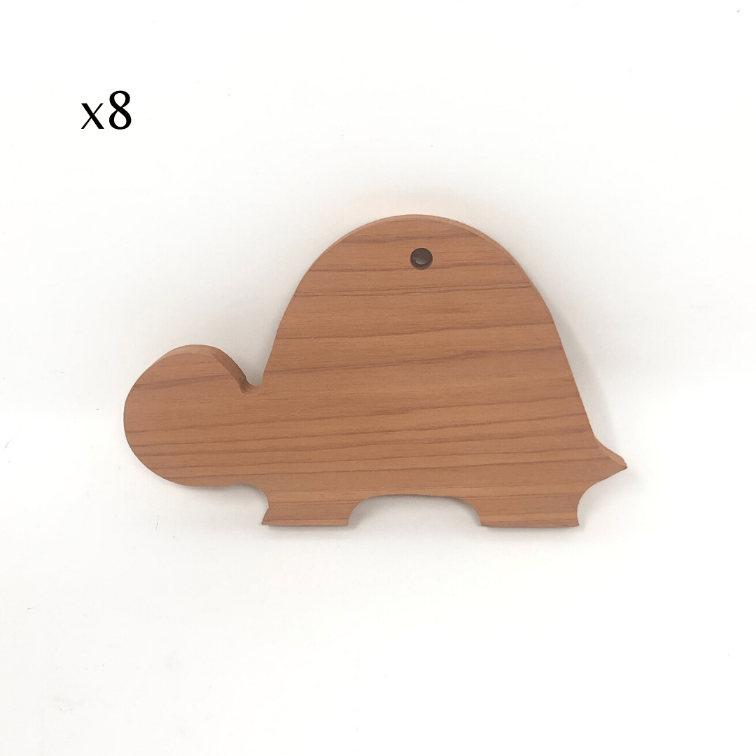 Tartaruga cedro x8